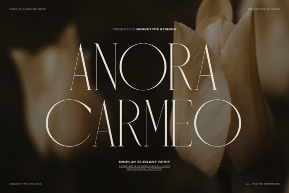 Anora Carmeo: A Font for Impact