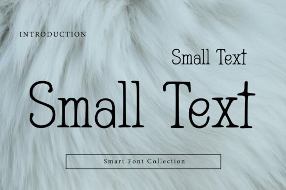 Small Text: A Font for Polished Branding